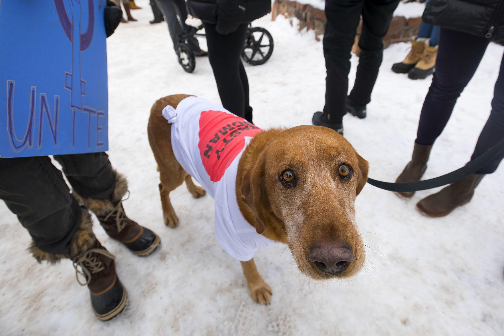 Jackson Hole Women’s March 2019